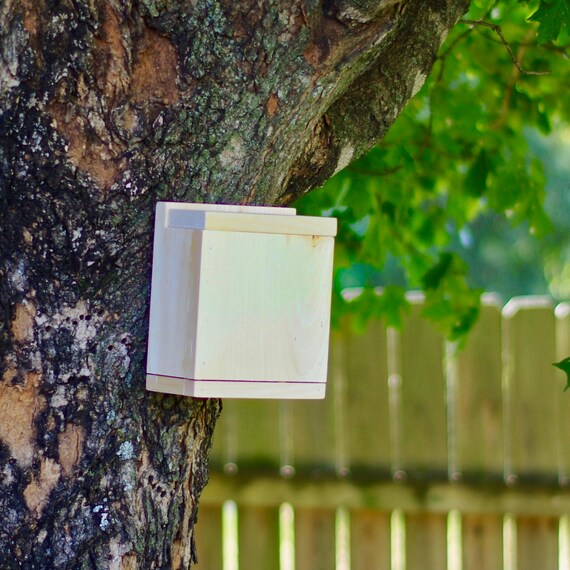 Underneath Bird Feeder Ez Fill Upside Down Suet Feeder Suet Etsy