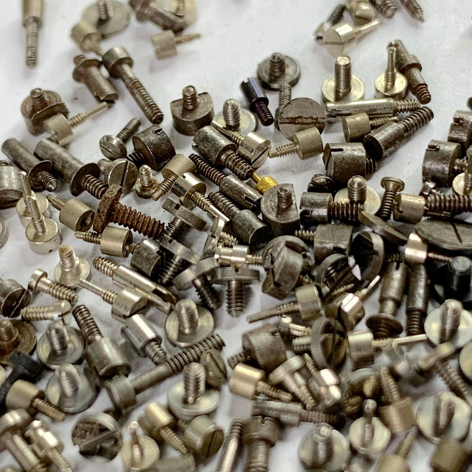 25 Watch Screws Pocket Wrist Parts Watchmaker Repair Assorted Etsy