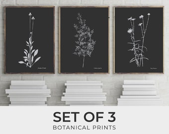 Botanical Print Set of 3. Black Background Modern Posters. Floral Prints. Triptych Flower Set. Plant Grass Illustration. Tumblr Room Décor.