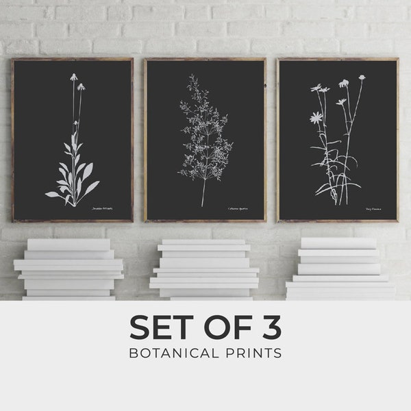 Botanical Print Set of 3. Black Background Modern Posters. Floral Prints. Triptych Flower Set. Plant Grass Illustration. Tumblr Room Décor.