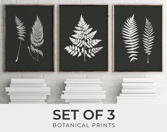 Botanical Print Set of 3. Black Background Fern Wall Art. Nature Woodland Prints. Triptych Set. Plant Grass Illustration. Tumblr Room Décor.