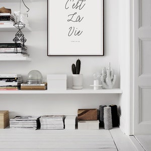May include: A white wall with a framed black and white print that reads "C'est La Vie" hanging on it. The print is in a black frame. There is a white shelf below the print with a potted cactus, a white ceramic sculpture, and a glass globe on it.