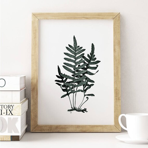 Druck. Waldkunst. Wanddeko. Illustration. Farnwedel Vintage Druck. Poster. Farn Moderne Blatt Minimal Natur Botanische Blatt Grünes Art.