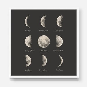 May include: A black and white illustration of the phases of the moon. The moon phases are labeled with the following text: New Moon, Waxing Crescent, First Quarter, Waxing Gibbous, Full Moon, Waning Gibbous, Last Quarter, Waning Crescent, New Moon.