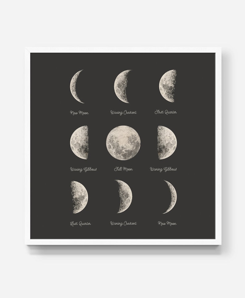 May include: A black and white illustration of the phases of the moon. The moon phases are labeled with the following text: New Moon, Waxing Crescent, First Quarter, Waxing Gibbous, Full Moon, Waning Gibbous, Last Quarter, Waning Crescent, New Moon.