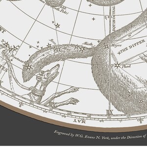 May include: A vintage illustration of the constellation Ursa Major, also known as the Great Bear, with the text "Engraved by W.G. Evans N. York, under the Direction of". The illustration is in black and white and shows the stars of the constellation as well as the outline of a bear.