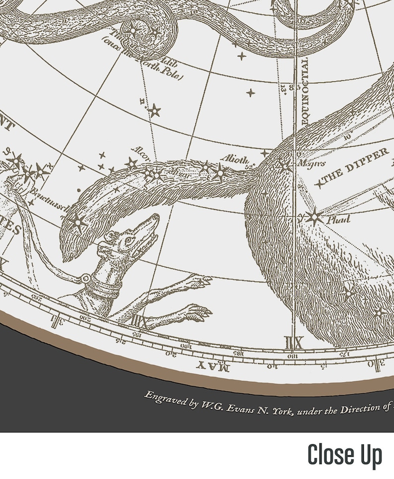 May include: A vintage illustration of the constellation Ursa Major, also known as the Great Bear, with the text "Engraved by W.G. Evans N. York, under the Direction of". The illustration is in black and white and shows the stars of the constellation as well as the outline of a bear.