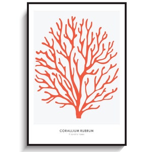 Rote Koralle Großes Poster - DRUCKBARE DATEI.  Rote Meereskoralle Druck. Korallen Illustration. Marine Strand maritime Küstendruck. Leben im Meer.