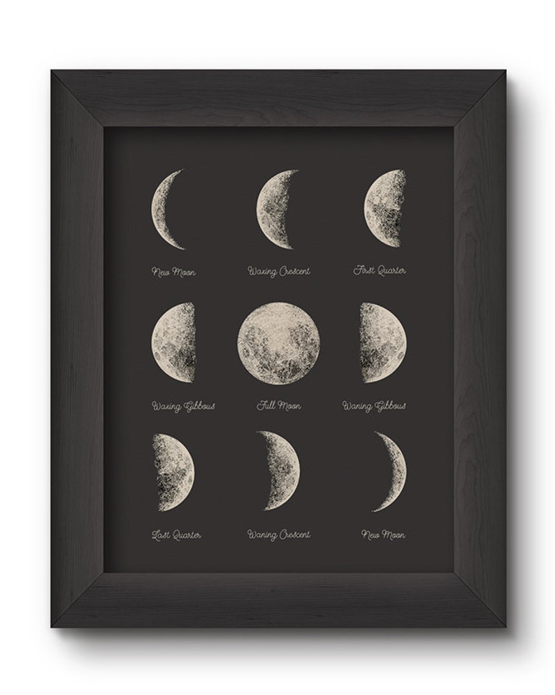 May include: A black framed print with a white background and illustrations of the phases of the moon. The phases are labeled with the names: New Moon, Waxing Crescent, First Quarter, Waxing Gibbous, Full Moon, Waning Gibbous, Last Quarter, Waning Crescent, New Moon.