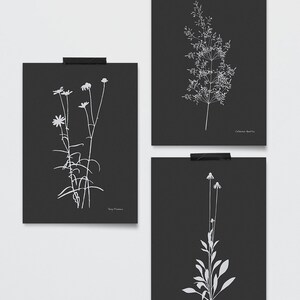 Botanical Print Set of 3. Black Background Modern Posters. Floral ...