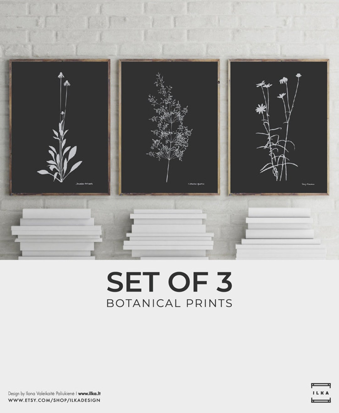 Botanical Print Set of 3. Black Background Modern Posters. Floral ...