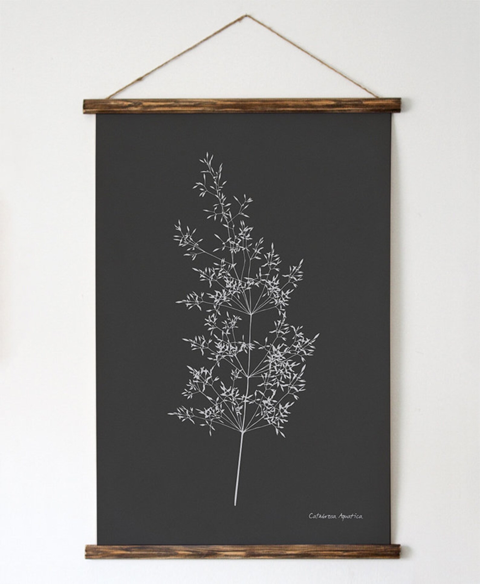 Botanical Print Set of 3. Black Background Modern Posters. | Etsy