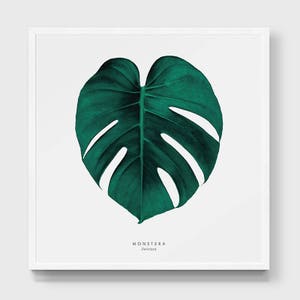 Monstera Print. Swiss Cheese Plant Poster. Tropical Leaf Illustration. Exotic Leaf Art. Green Wall Décor. Minimal Wall Art. Botanical Print.