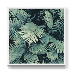 Fern Leaves - PRINTABLE FILE. Tropical Leaf Photo. Wilderness Wall Art ... Fern Leaves - PRINTABLE FILE. Tropical Leaf Photo. Wilderness Wall Art ...
