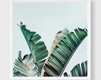 Banana Leaf Print – PRINTABLE FILE. Leaf Photography. Botanical Wall Décor. Palm Leaf Print. Tropical Plant Poster. Exotic Plant Wall Art.