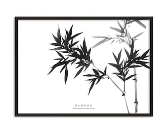 Japanese Bamboo Botanical Print. Foliage Print. Zen Hygge Décor. Modern Asian Wall Art. Tropical Bamboo Illustration. Black White Poster.