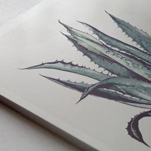 May include: A watercolor painting of a green agave plant with sharp, spiky leaves. The plant is depicted in a realistic style, with detailed brushstrokes capturing the texture of the leaves.