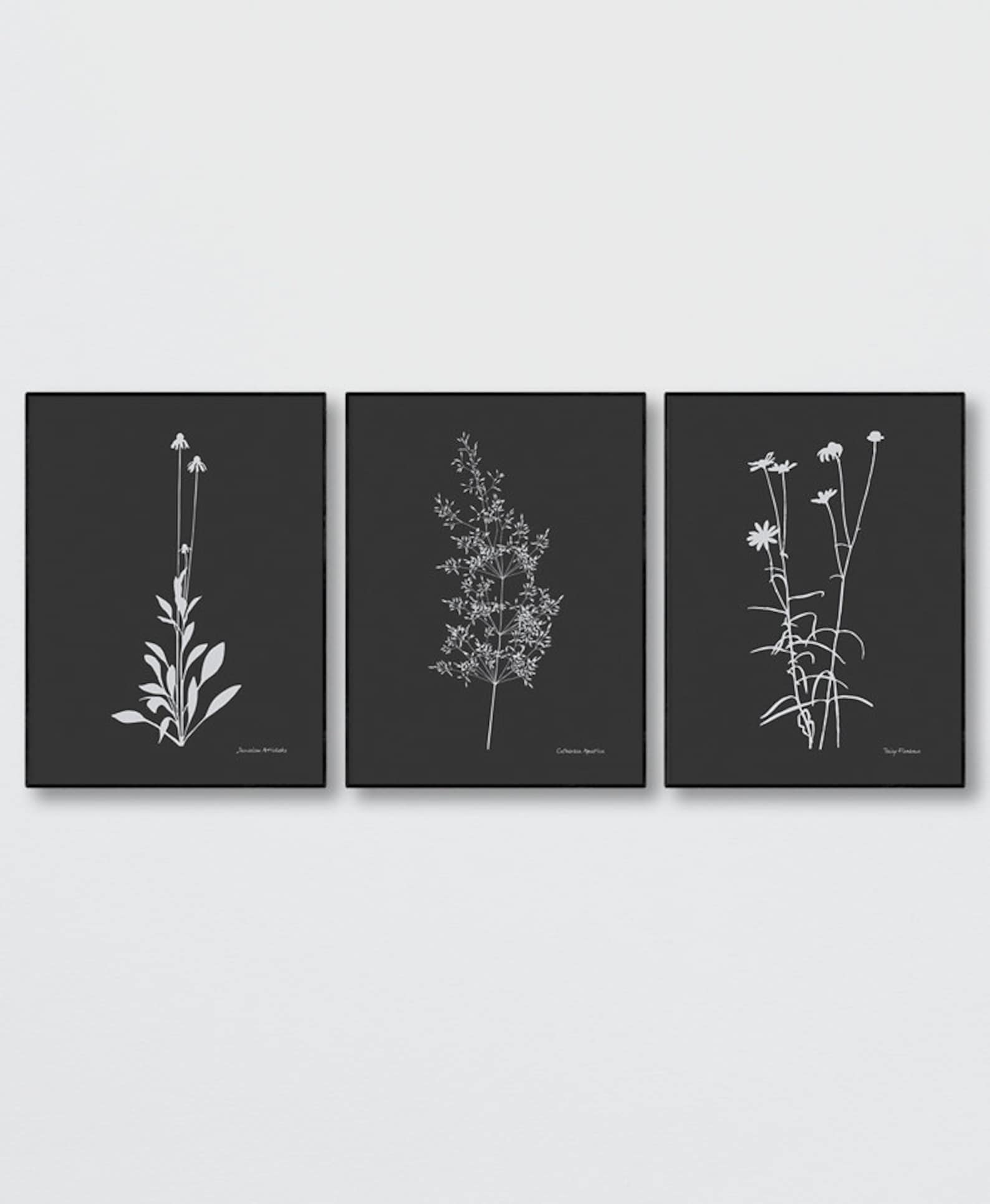Botanical Print Set of 3. Black Background Modern Posters. | Etsy