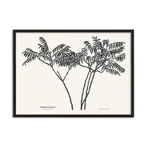 Sumac Leaves Print. Branch Art. Botanical Minimalist Poster. Plant Silhouette Motif. Gallery Wall Art. Scandinavian Print. Nordic Décor.