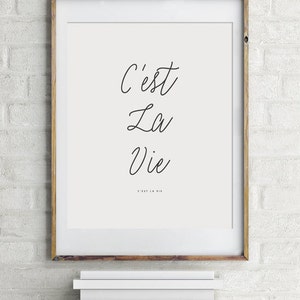 May include: A framed print with the French phrase "C'est La Vie" in black cursive script on a white background.