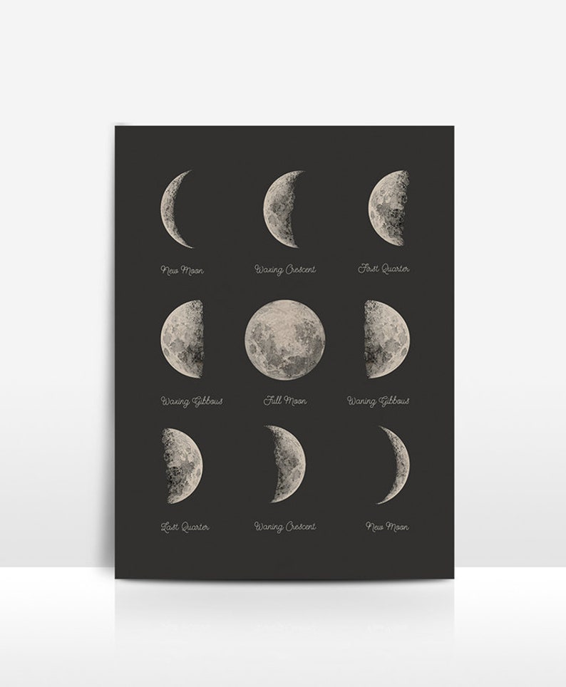 May include: A dark gray poster featuring a detailed illustration of the phases of the moon. Each phase is labeled with its name in a handwritten font. The phases include New Moon, Waxing Crescent, First Quarter, Waxing Gibbous, Full Moon, Waning Gibbous, Last Quarter, and Waning Crescent.