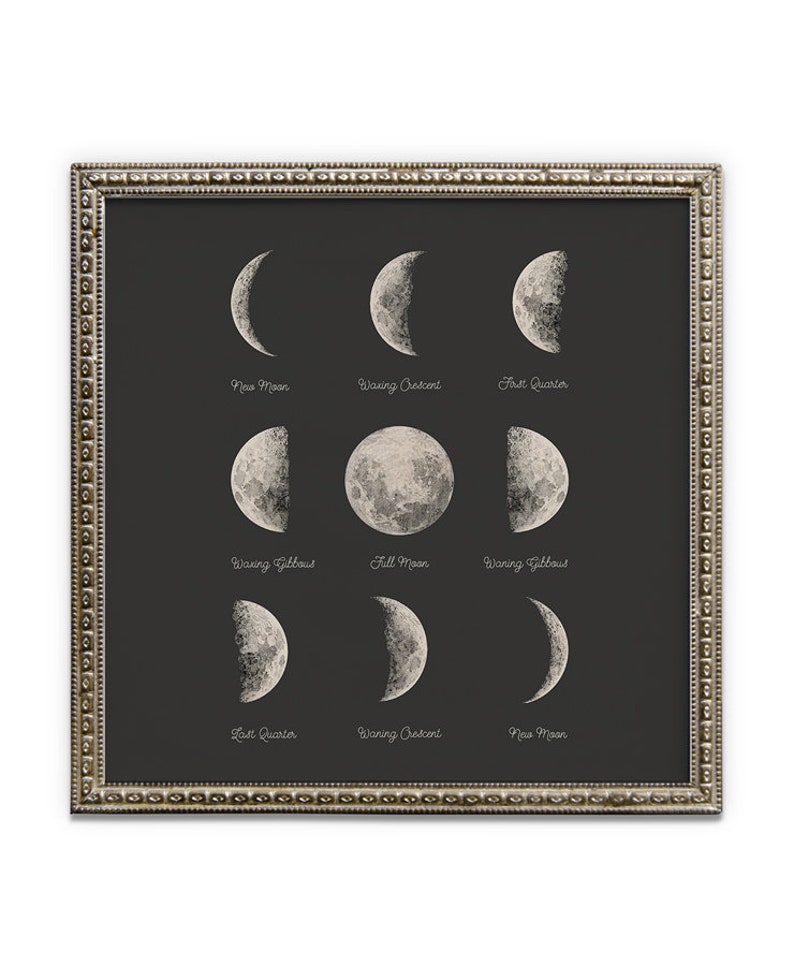 May include: A black and white illustration of the phases of the moon on a black background. The phases are labeled with their names: New Moon, Waxing Crescent, First Quarter, Waxing Gibbous, Full Moon, Waning Gibbous, Last Quarter, Waning Crescent, New Moon.