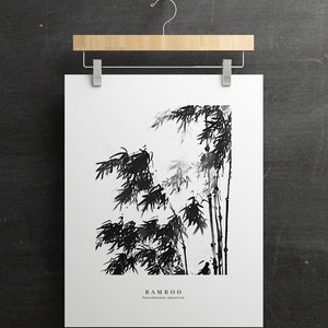 May include: Black and white ink illustration of bamboo plants with the text "BAMBOO" and "Phyllostachys japonica" below the image.
