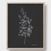 Botanical Print Set of 3. Black Background Modern Posters. Floral ...