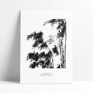 May include: Black and white ink illustration of bamboo plants with the text "BAMBOO" and "Phyllostachys japonica" below.