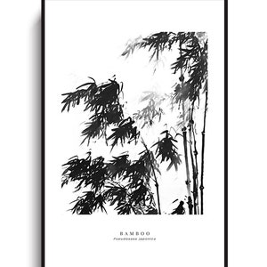 May include: Black and white ink painting of bamboo plants with the text "BAMBOO" and "Pseudosasa japonica" below the image.