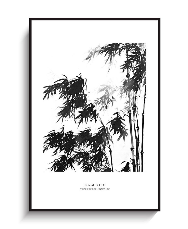 May include: Black and white ink painting of bamboo plants with the text "BAMBOO" and "Pseudosasa japonica" below the image.