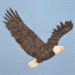 May include: A brown and white bald eagle with its wings spread wide, flying against a light blue quilted background.