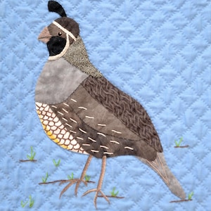 California Quail Applique Block Pattern