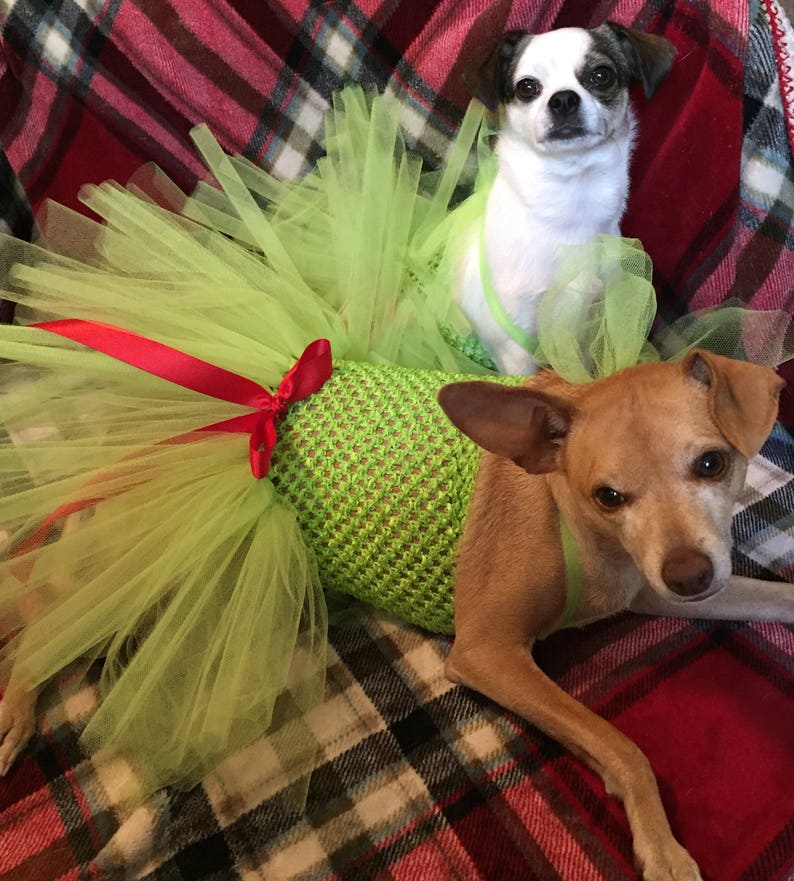 grinch costume lime green dress for dogs Christmas tutu for dogs holiday dog dress ready to ship Grinch dog costume