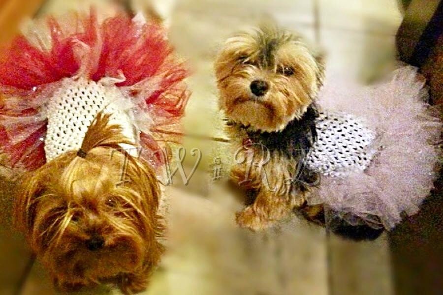 Create your own dog tutu dress dog tutu dog outfit pet Etsy