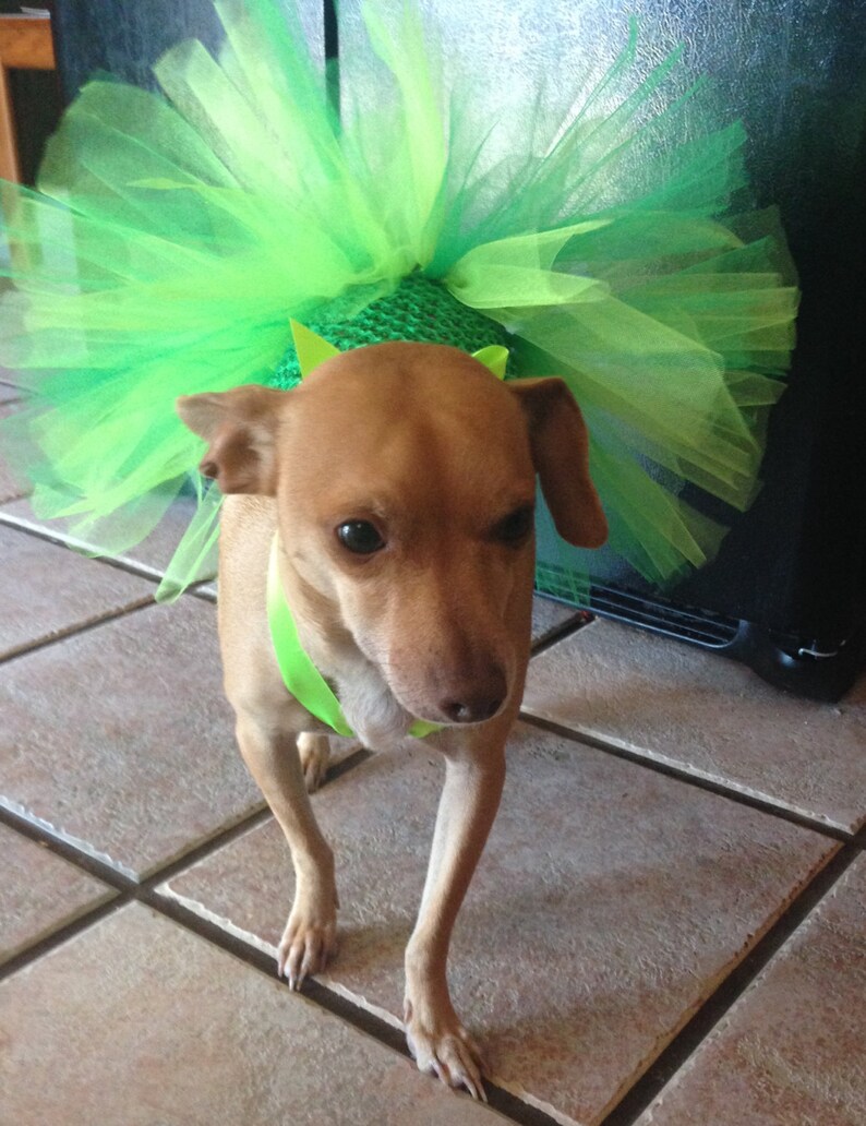 st paddys day dog collar