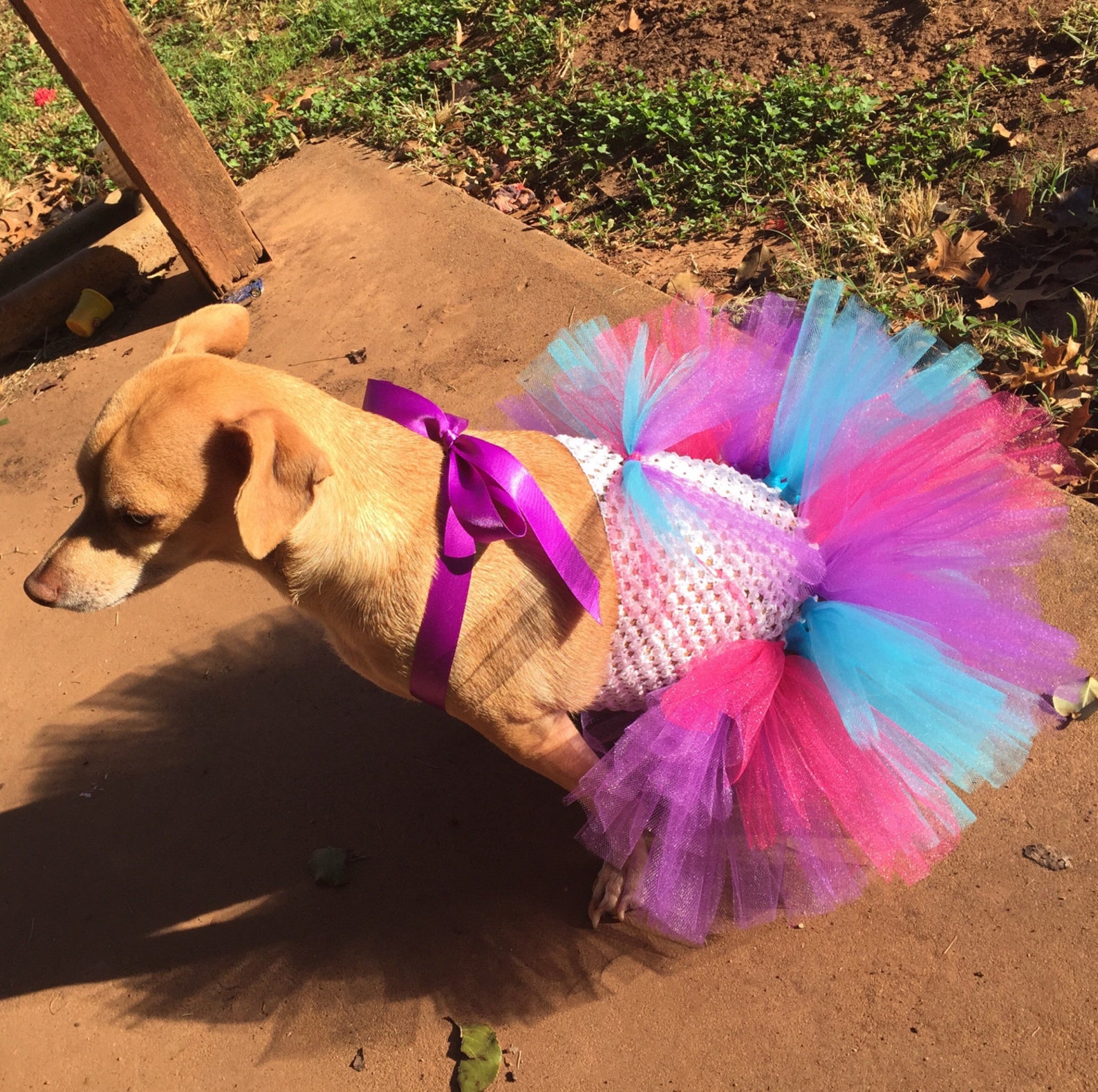 Fairy Dog Costume Fairy Dog Tutu Halloween Dog Costume Pink Etsy