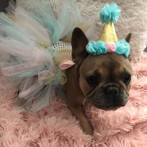 birthday dog outfit, cat birthday, mint and pink dog dress, dog birthday outfit, birthday doggy, pet birthday image 5