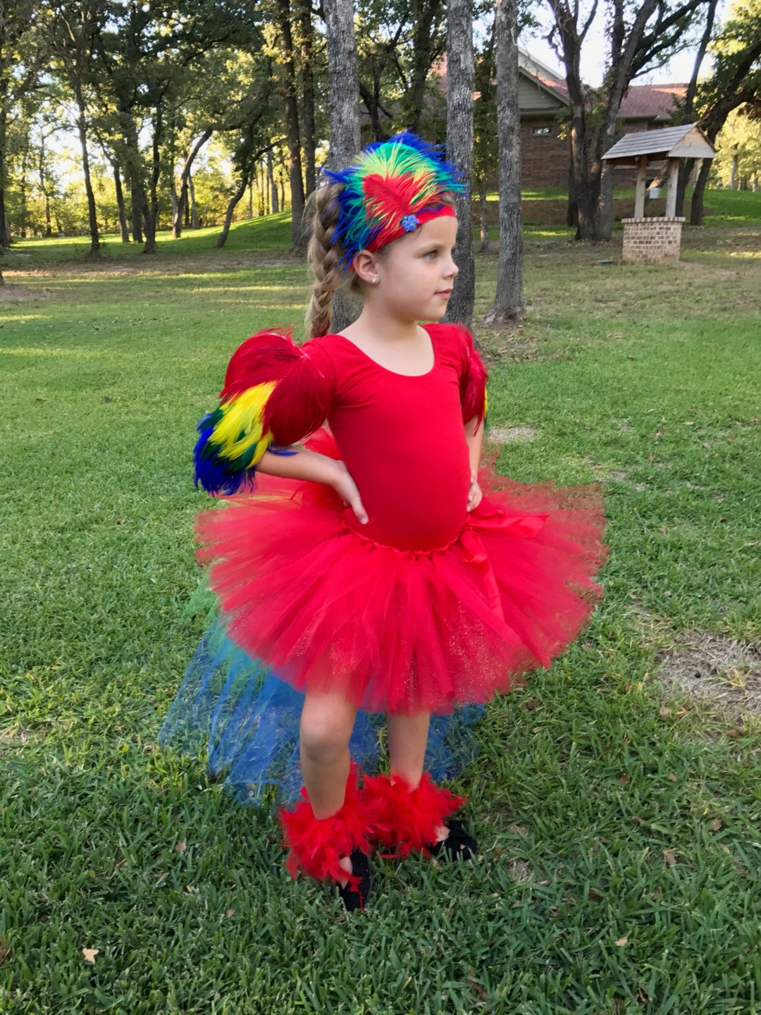Parrot Costume, Macaw Costume, Parrot Wings, Parrot Headband, Leg
