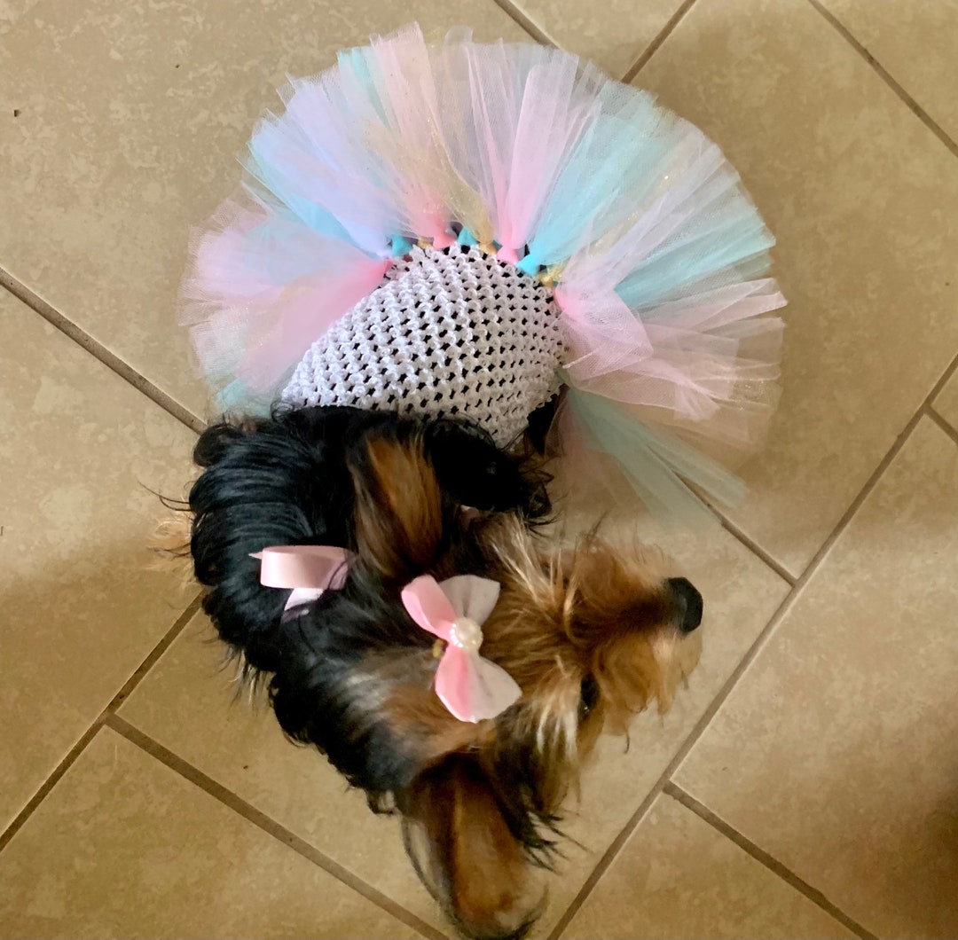 Birthday Dog Outfit, Cat Birthday, Mint and Pink Dog Dress, Dog