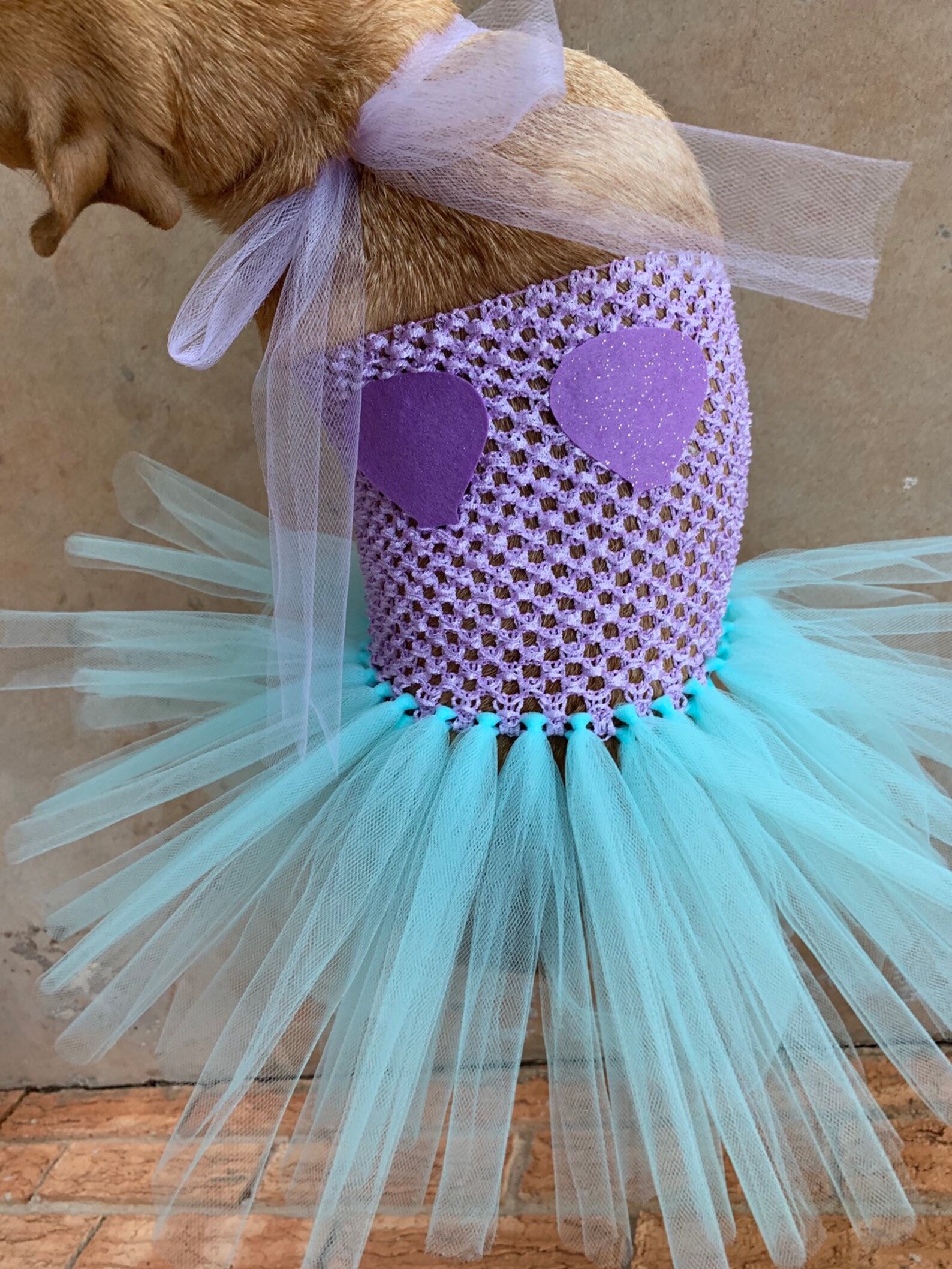 Mermaid Dog Costume Merdog Halloween Dog Costume Dog Etsy