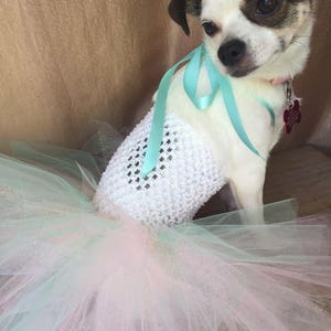 birthday dog outfit, cat birthday, mint and pink dog dress, dog birthday outfit, birthday doggy, pet birthday image 6