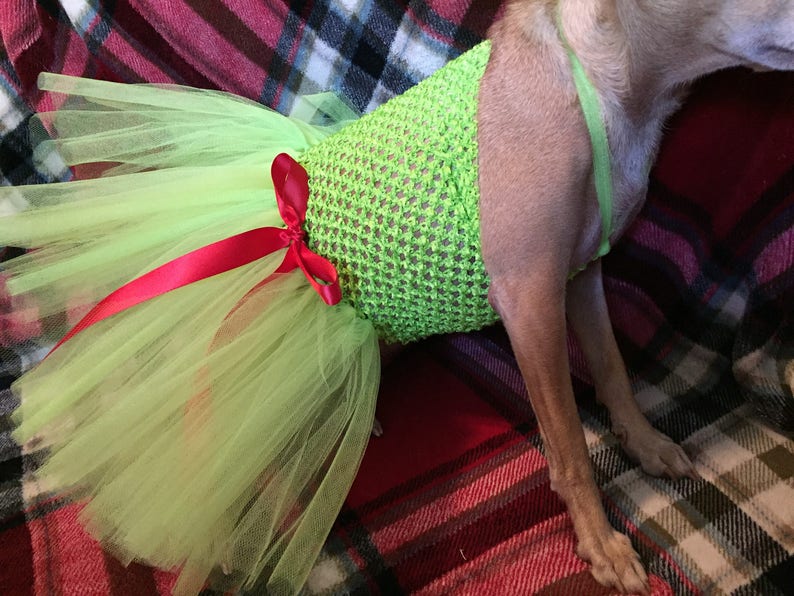 grinch costume lime green dress for dogs Christmas tutu for dogs holiday dog dress ready to ship Grinch dog costume