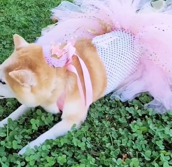 dog party wear dress Sprinkle Party Dress Pet Costume