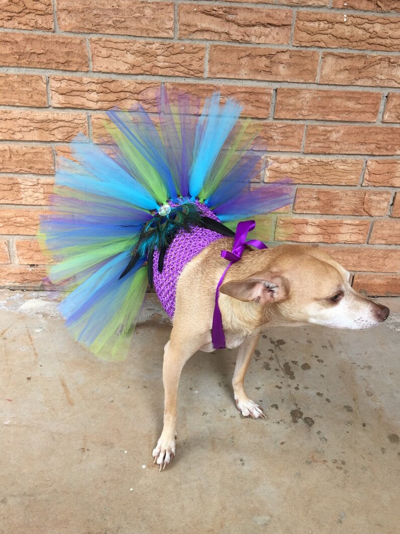 Dog Wedding Dress Pageant Show Dog Dress Dog Tutu Dress Etsy