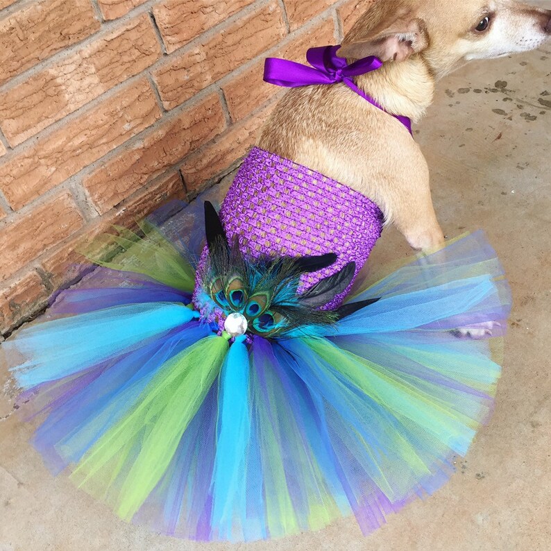 Dog Wedding Dress Pageant Show Dog Dress Dog Tutu Dress Etsy
