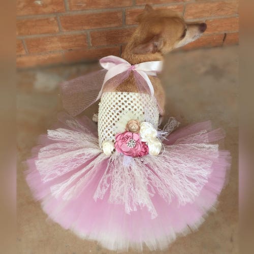 Fancy Dog Dress Pageant Show Dog Dress Southern Belle Dog Etsy