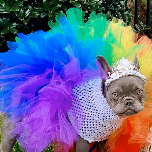 Women's / Girl's Rainbow Ice Dye Tie Dye V Pleats Etsy