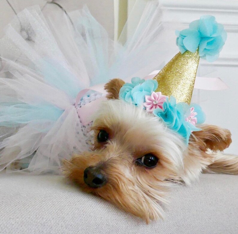 birthday dog outfit, cat birthday, mint and pink dog dress, dog birthday outfit, birthday doggy, pet birthday image 7