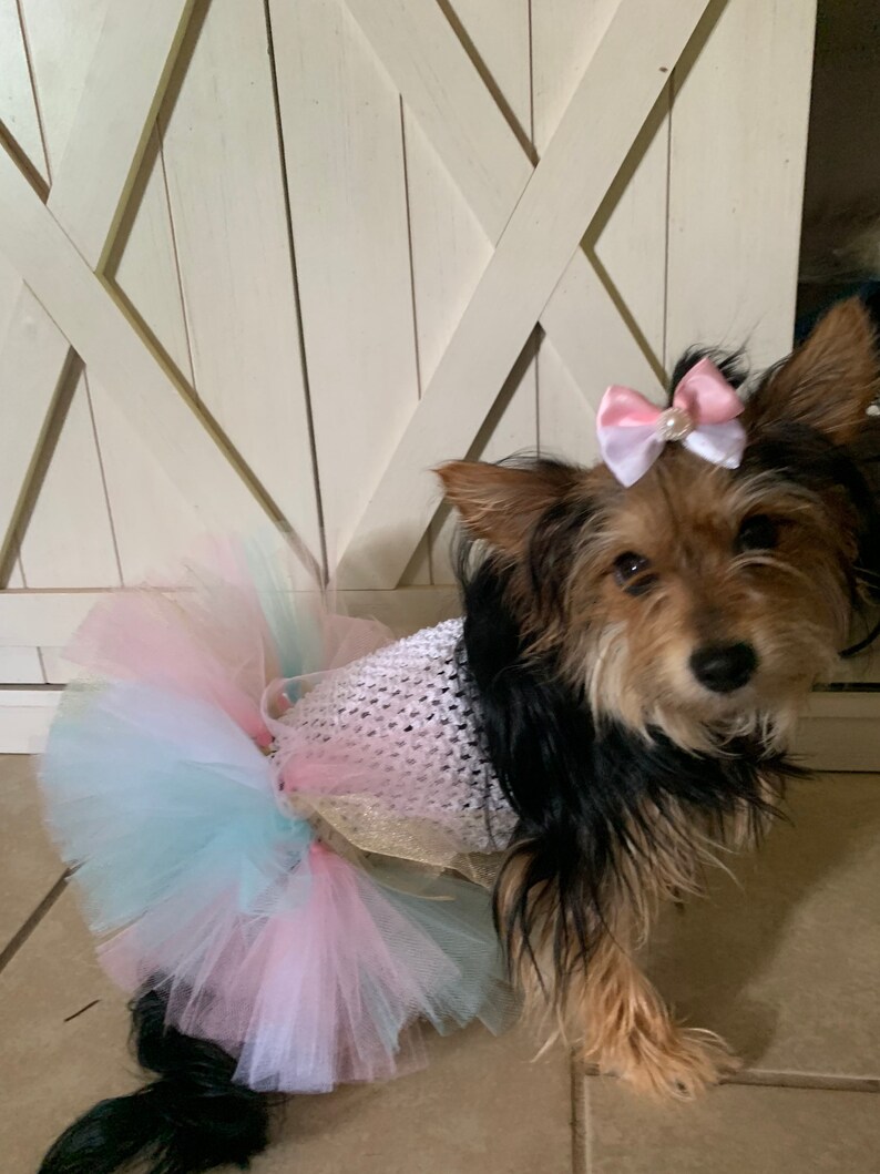 Birthday Dog Outfit Cat Birthday Mint and Pink Dog Dress Etsy